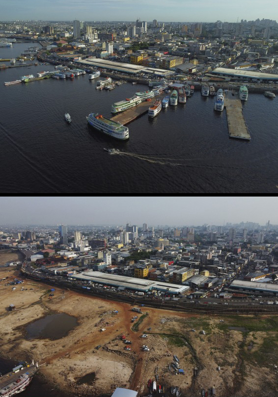 manaus.jpg