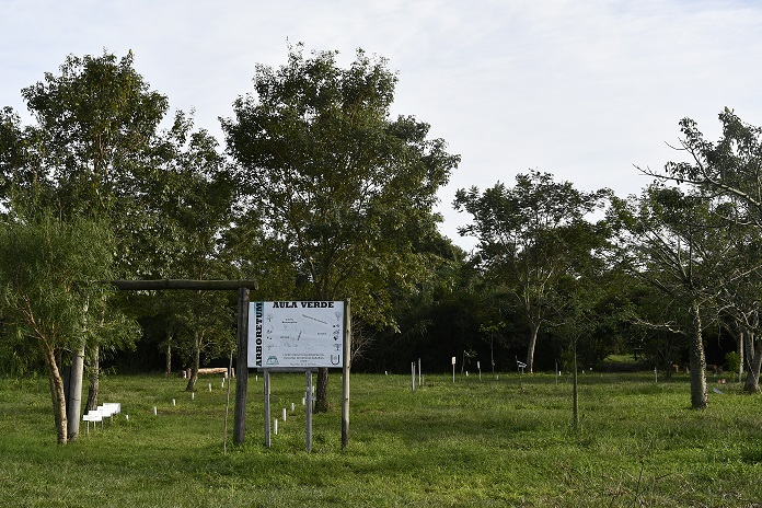 Arboretum Aula Verde.jpg