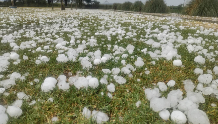 granizo 2.jpg