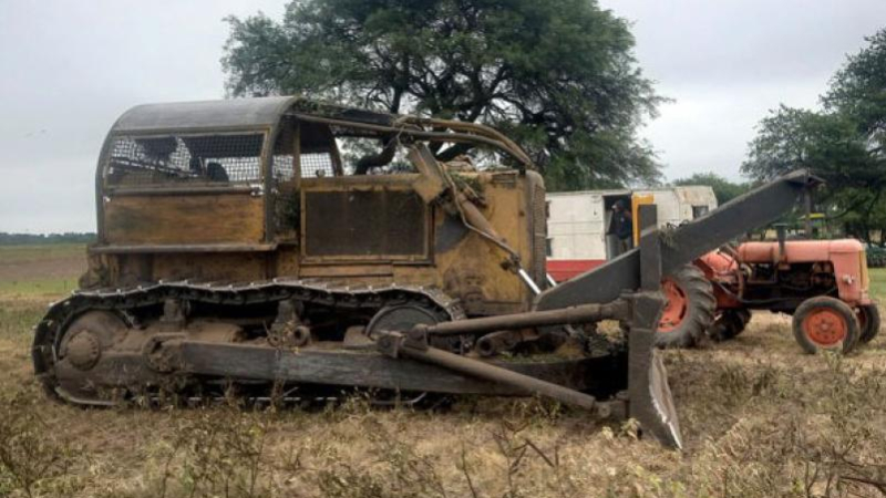 Instan a sumarse contra la tala ilegal para la protección de los bosques chaqueños