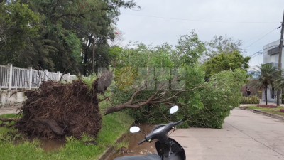 Sáenz Peña: tormenta con fuertes vientos ocasionó destrozos