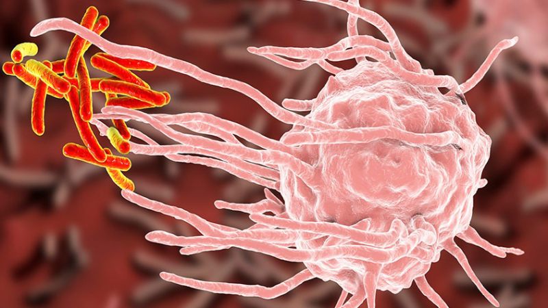 Oncología: ¿por qué unas células hacen metástasis y otras no?