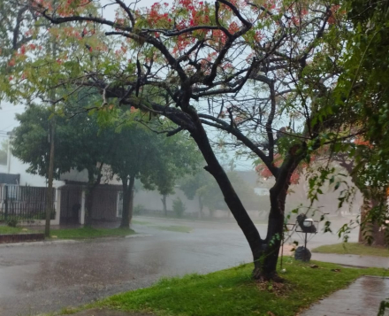 lluvia3.jpg