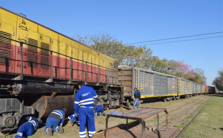 tren2.jpg