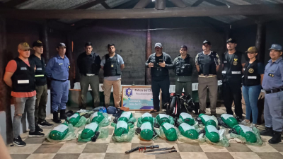 Nuevo golpe al narcotráfico: incautan más de 80 kilos de marihuana a orillas del Paraná