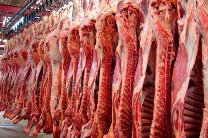 carne.jpg