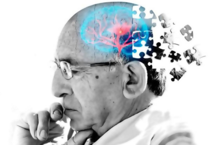 envejecimiento cerebral 2.jpg