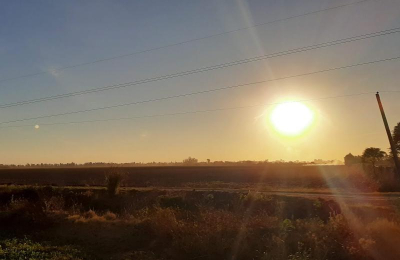 Electrificación rural jaqueada por los robos de transformadores y cables