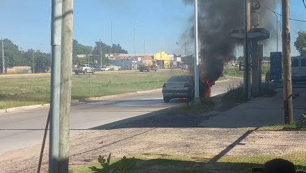 dame fuego dos.jfif