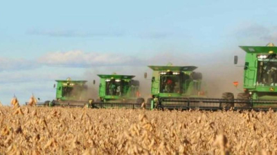 Dos empresas se diferencian de la situación de Los Grobo, Agrofina y Surcos