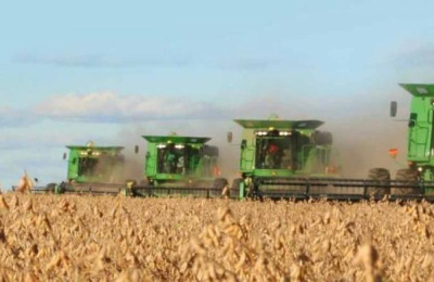 Dos empresas se diferencian de la situación de Los Grobo, Agrofina y Surcos