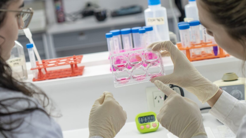 Los 22 logros de la ciencia argentina, en un año muy difícil para el sector