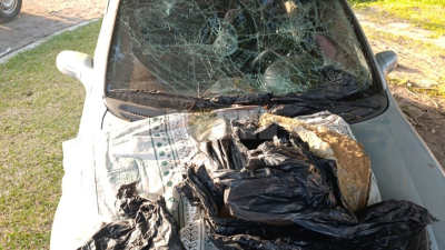 Ira y violencia: despechada rompió los vidrios del auto a su expareja
