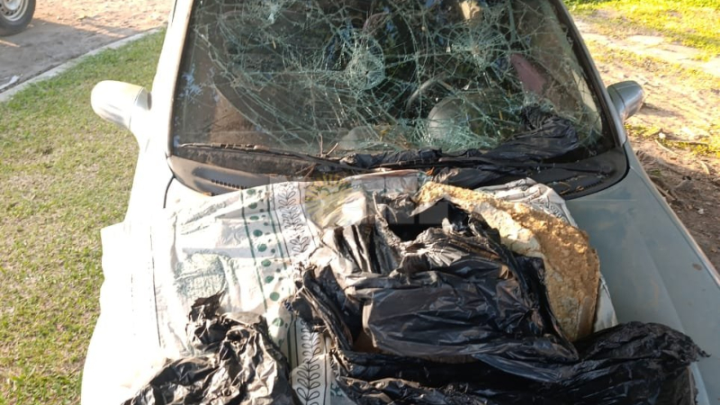 Ira y violencia: despechada rompió los vidrios del auto a su expareja