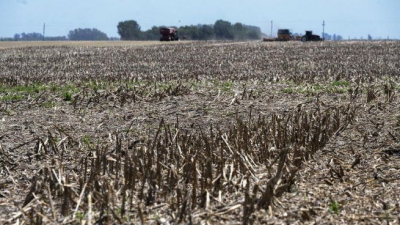 El campo enciende alarmas por la falta de lluvias