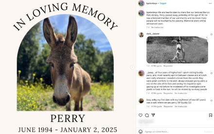 perry2.jpg