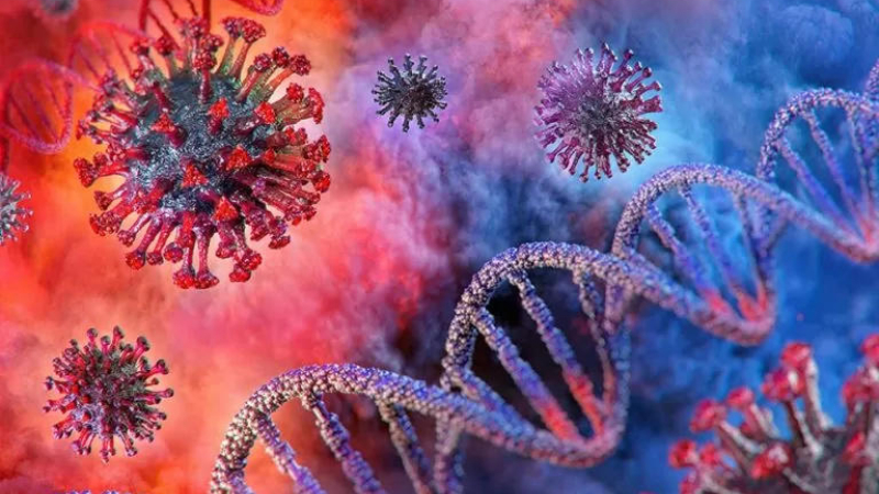 Todo lo que hay que saber del metapneumovirus que encendió las alarmas en China
