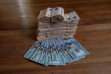 pesos dolares.jpg