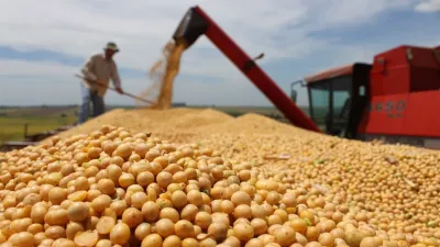Las exportaciones regionales crecieron 23% en dólares y 25% en toneladas en 2024