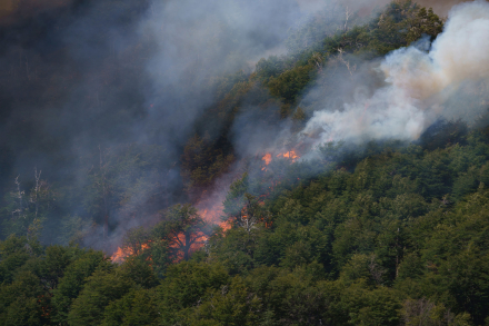 Incendios05.jpg