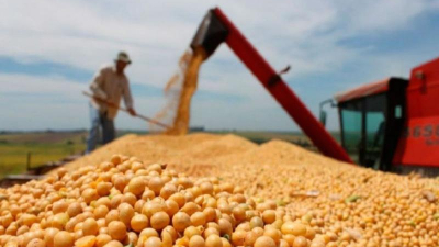 Las exportaciones agroindustriales tuvieron una fuerte suba en 2024