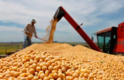 Las exportaciones agroindustriales tuvieron una fuerte suba en 2024