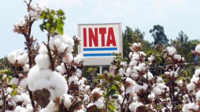 ¿Hacia dónde irá el INTA?