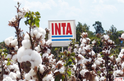 ¿Hacia dónde irá el INTA?