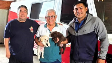 nor310325-011f01.jpg