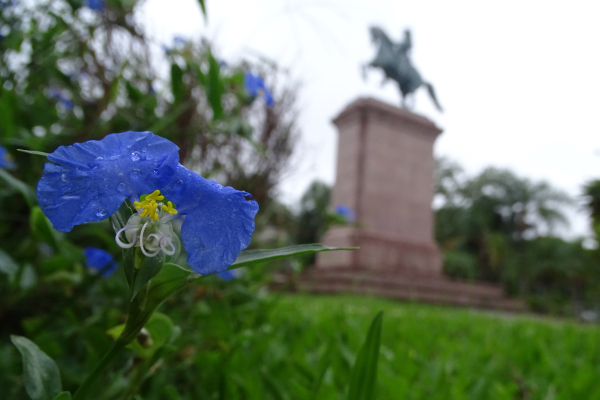Lunes fresco y lluvioso en la capital chaqueña