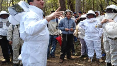 La apicultura en el Chaco: un sector en crecimiento con nuevos desafíos