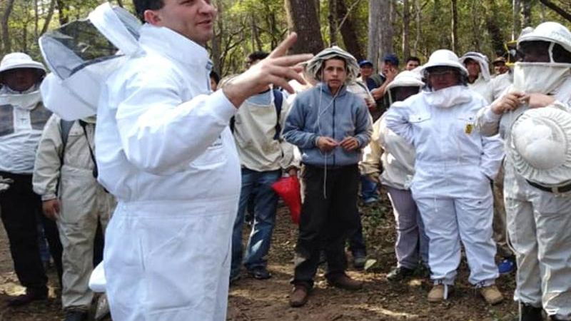 La apicultura en el Chaco: un sector en crecimiento con nuevos desafíos