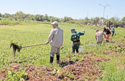 Los Carpinchos, el equipo municipal que mantiene limpios ríos y lagunas