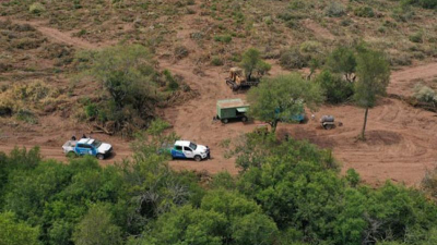 Federación taninera reclama la promulgación del ordenamiento territorial de bosque