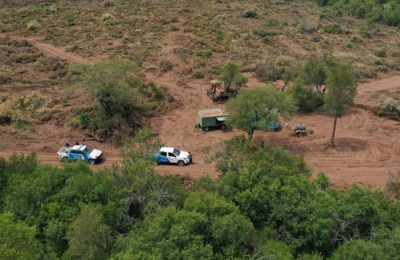 Federación taninera reclama la promulgación del ordenamiento territorial de bosque