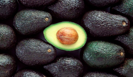 palta.jpg