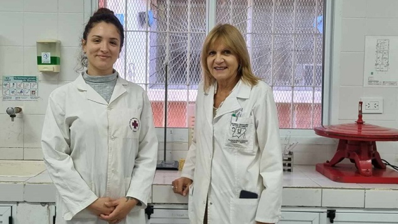 Validarán la calidad microbiológica de la leche de búfala como alternativa productiva regional