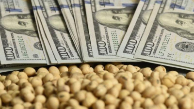 Suben los bonos, el riesgo país se mantiene y hubo liquidación récord de exportadores