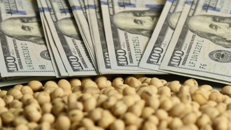 Suben los bonos, el riesgo país se mantiene y hubo liquidación récord de exportadores