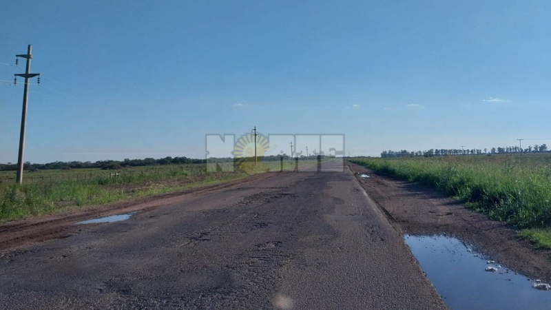 Analizan si la falta de mantenimiento de rutas nacionales genera más siniestros viales 