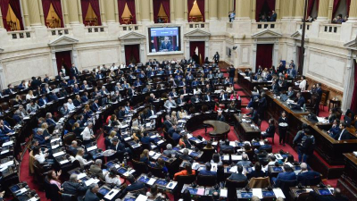Pedrini: "La moratoria logró incluir a 97 % de los adultos mayores en el sistema previsional"