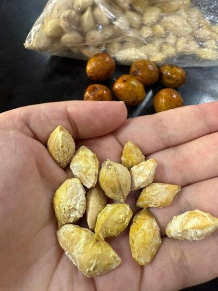 Fruto-Chanar 1.jpg