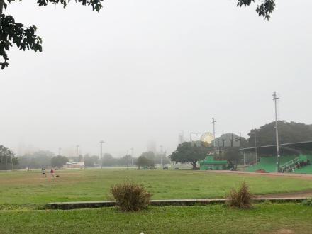 82.jpg