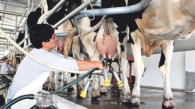 Más de 1.000 tambos cerraron en el último año y medio