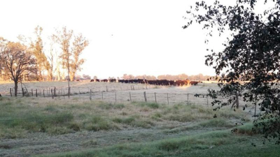 Sáenz Peña aguarda el amanecer más gélido en lo que va del año