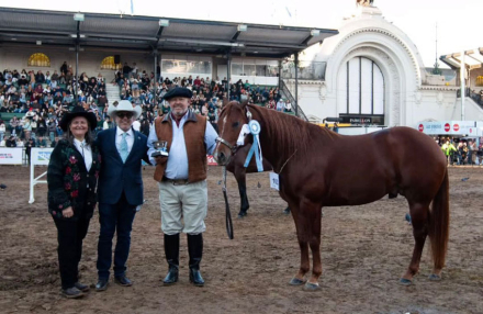 Pag-4--gran-campeon-equino.jpg