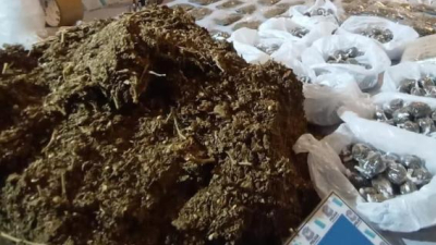 El engaño a jóvenes paraguayos a quienes obligaban a vender droga