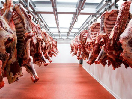 carne_arg.jpg