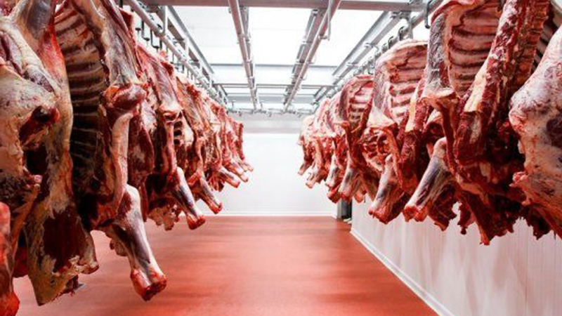 Chile frena la carne argentina por cambios en las reglas sanitarias