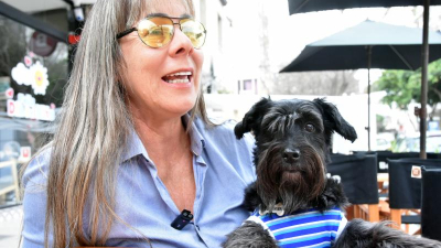 Encuentro benéfico por perros, gatos y caballos